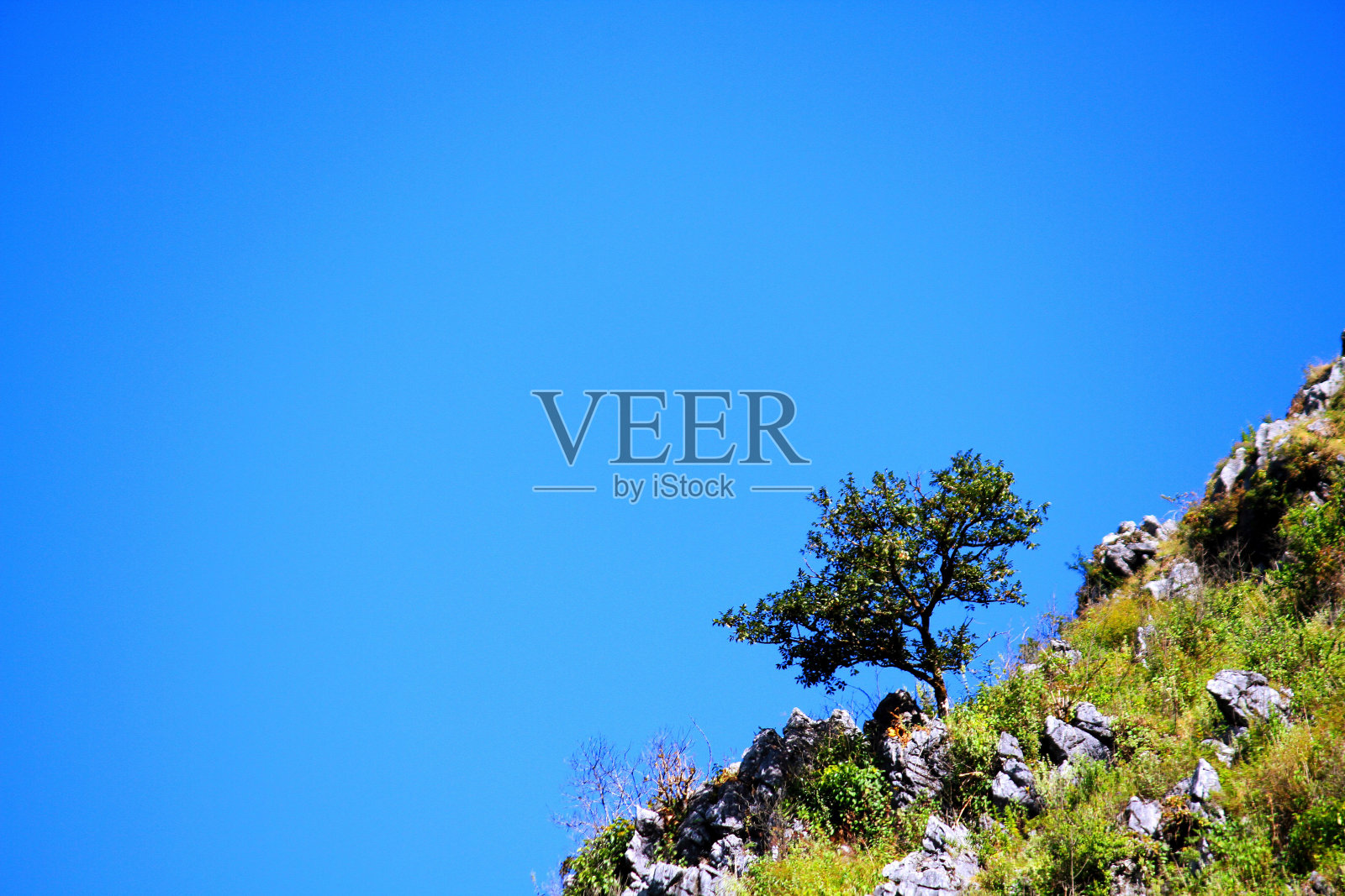 绿树植物生长在高山上和许多岩石或石头上，有清澈的蓝天和复制空间。自然美，自然与背景。照片摄影图片