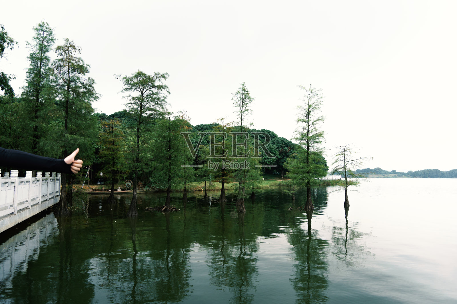 铜沙生态园位于东莞市东城大街。人们在里面跑步和锻炼，情侣们坐在草坪上休息和坠入爱河。照片摄影图片