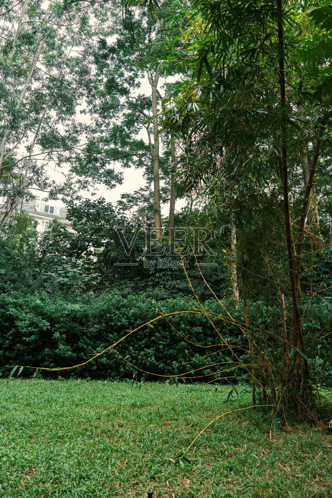 松山湖·松湖烟雨:湖山交融，漫步其间，享受雨雾缭绕的环境，是生态休闲度假胜地。照片摄影图片