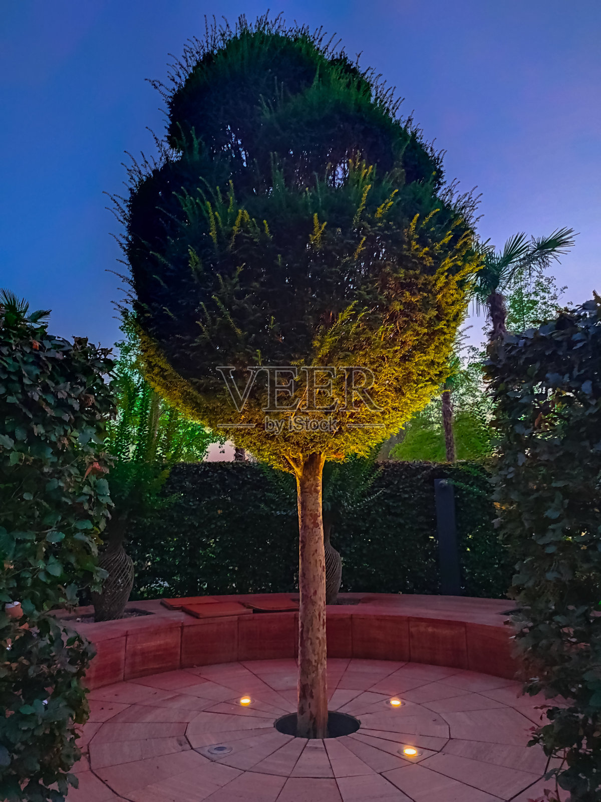 加利西亚语的公园照片摄影图片