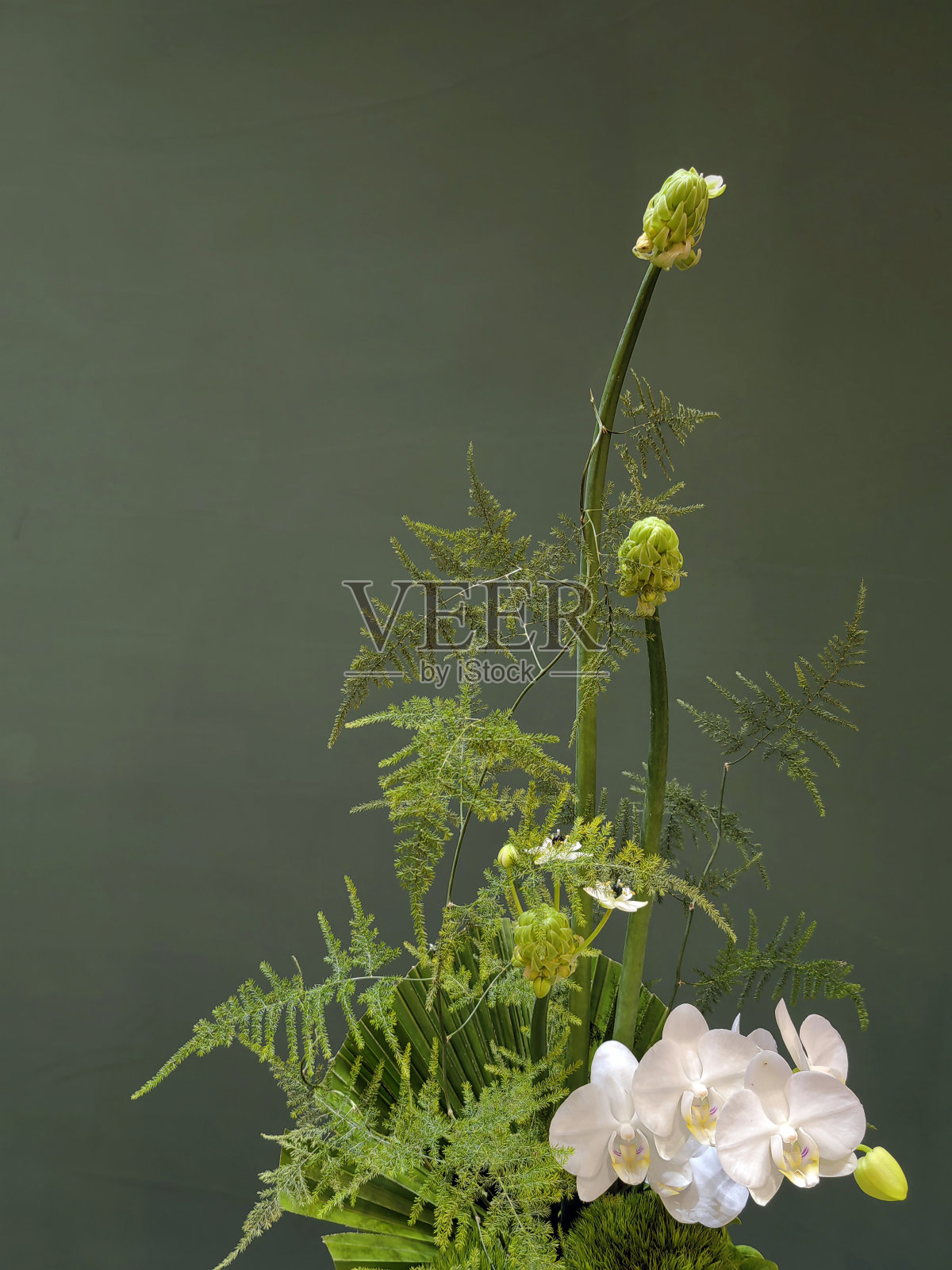 美丽的春花不同类型的绿色背景。照片摄影图片