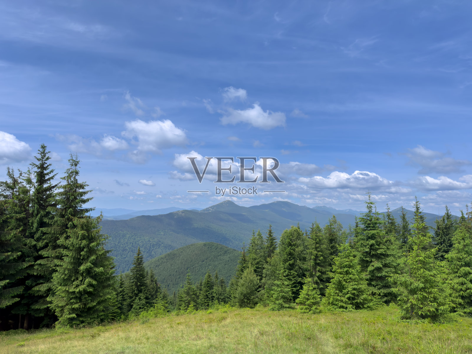 蓝山绿谷。夏日乌克兰山脉全景。喀尔巴阡山脉，乌克兰，欧洲。山旅游。照片摄影图片