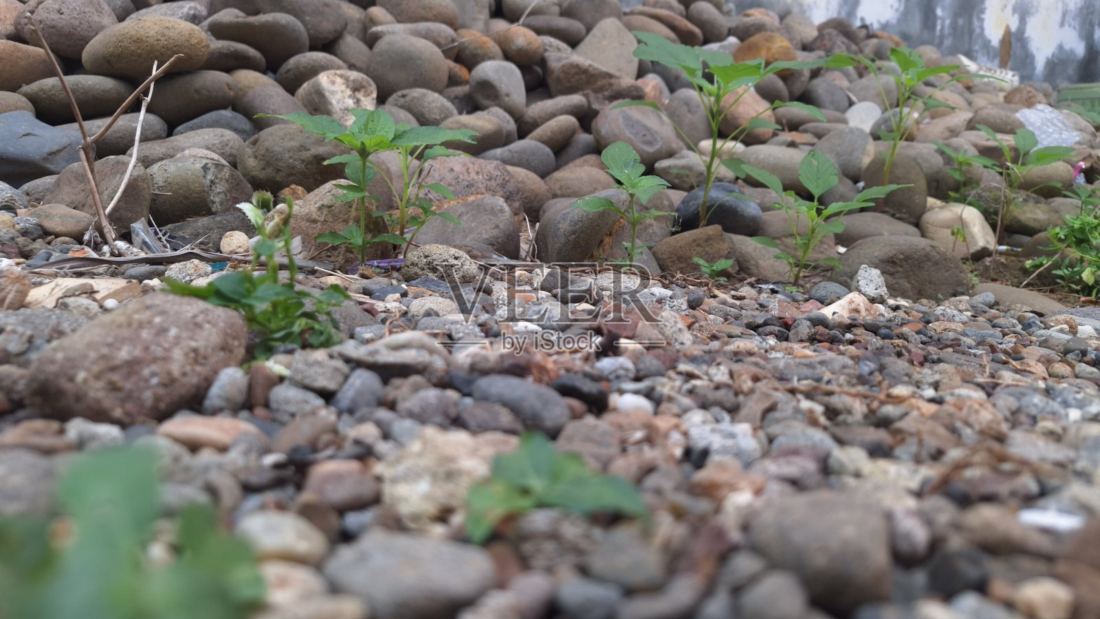 小石头照片摄影图片