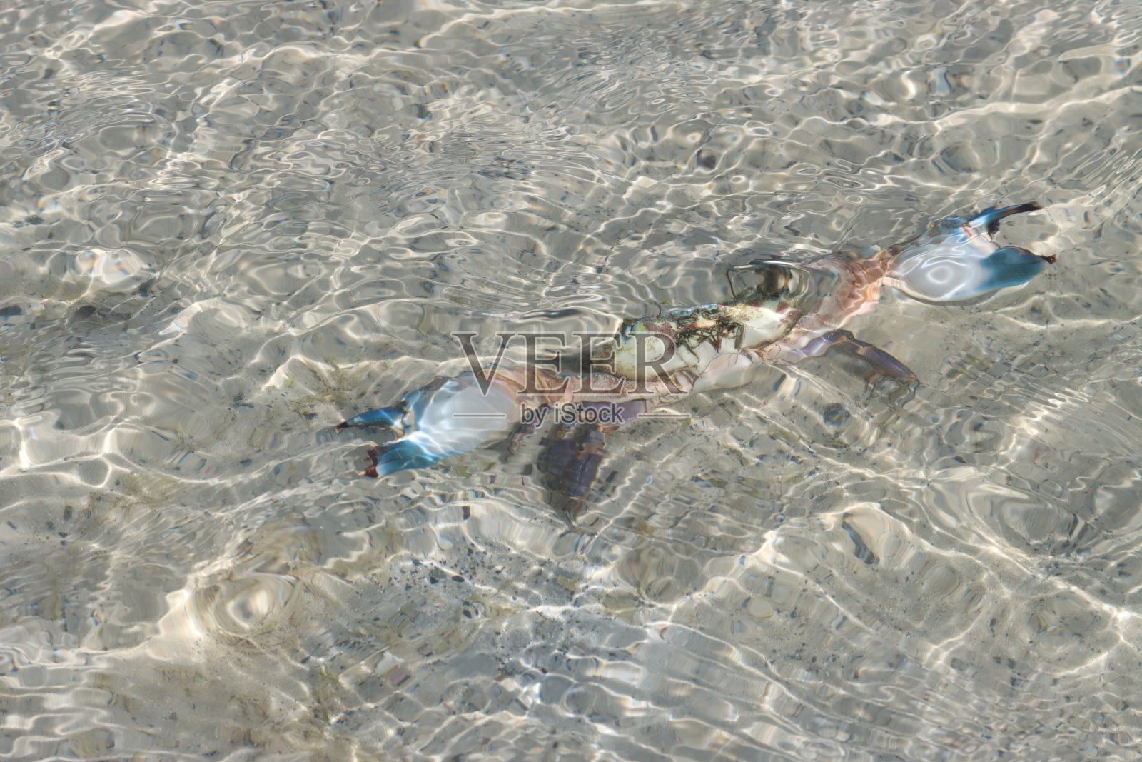 玛西拉海滩照片摄影图片