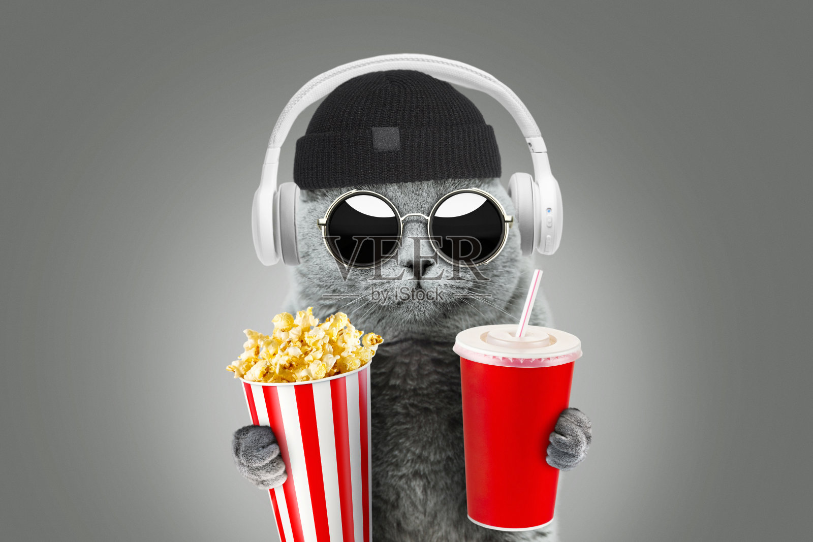 滑稽时尚的时髦猫戴着时髦的太阳镜和帽子，爪子拿着爆米花和饮料，在灰色的背景上用白色耳机听音乐。创意假日和周末的想法。猫在看电影照片摄影图片