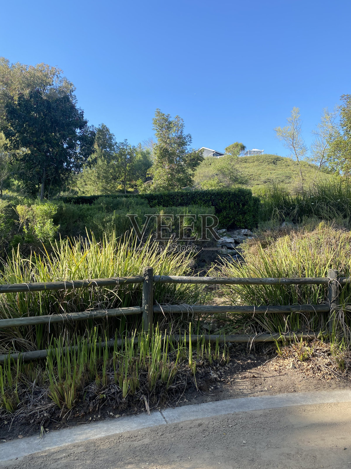 阳光橙县照片摄影图片