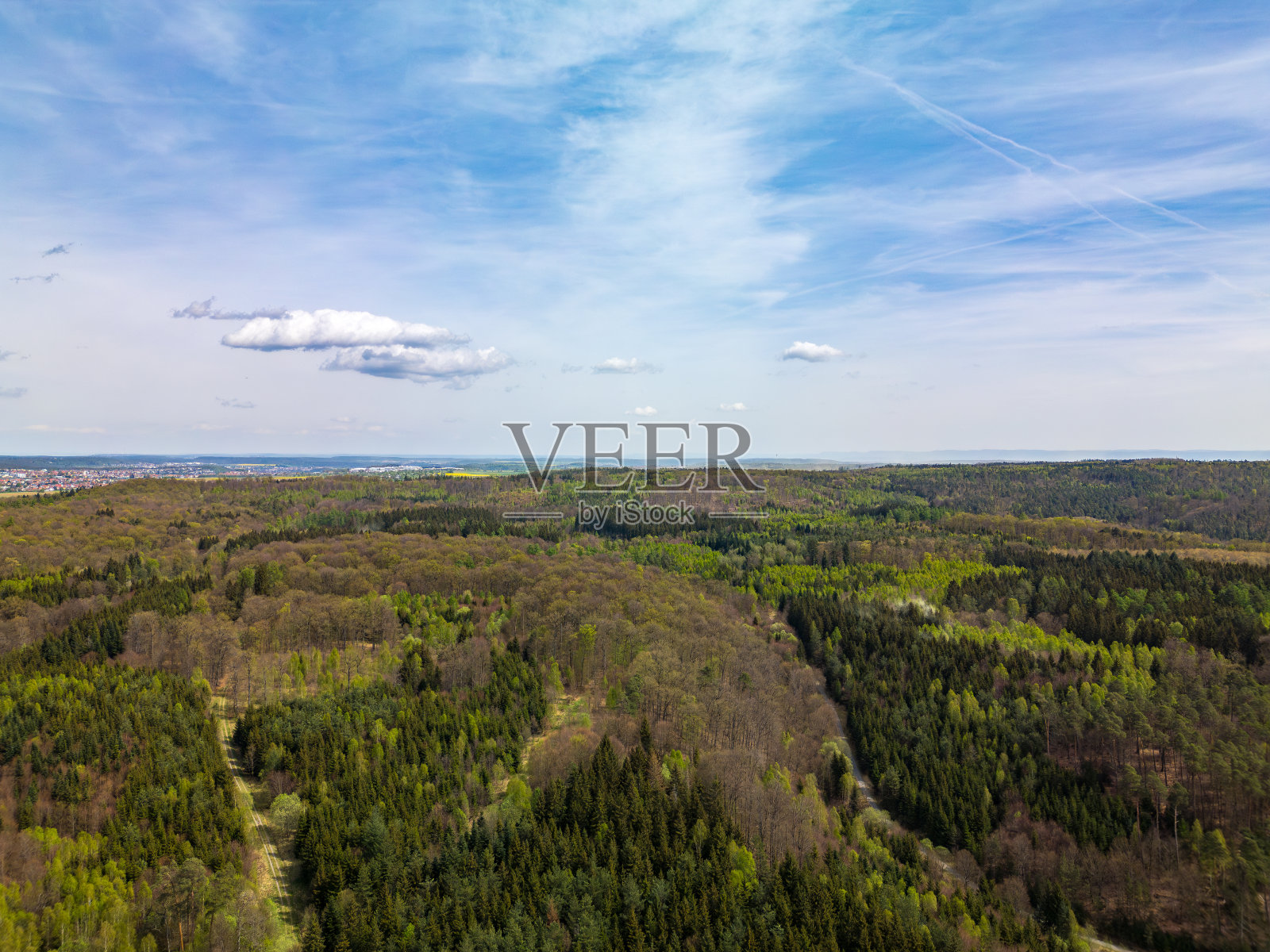 鸟瞰图，一个阳光明媚的森林，郁郁葱葱的绿色和蓝天照片摄影图片