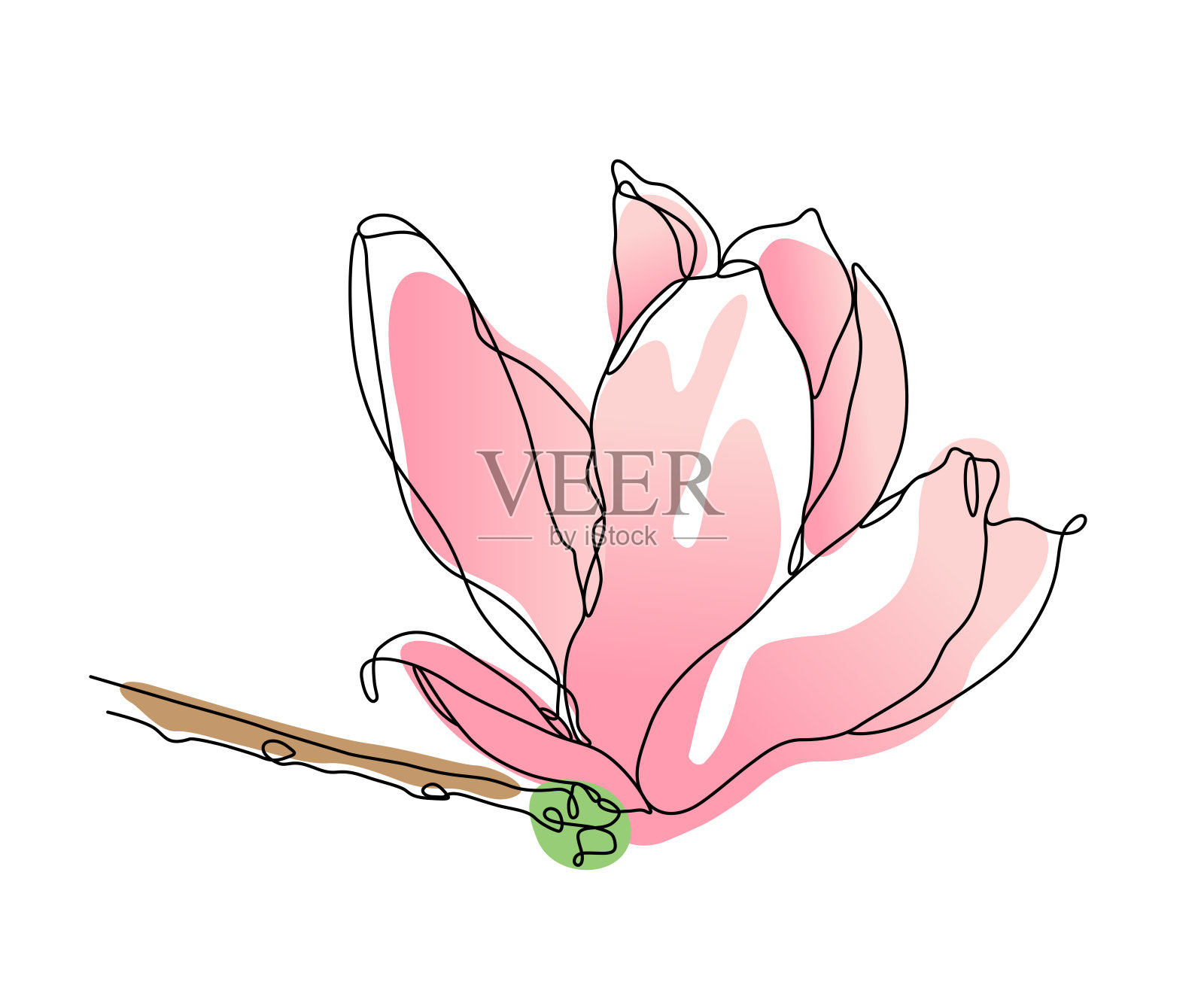 木兰花单线绘制与可编辑的笔触和颜色口音插画图片素材