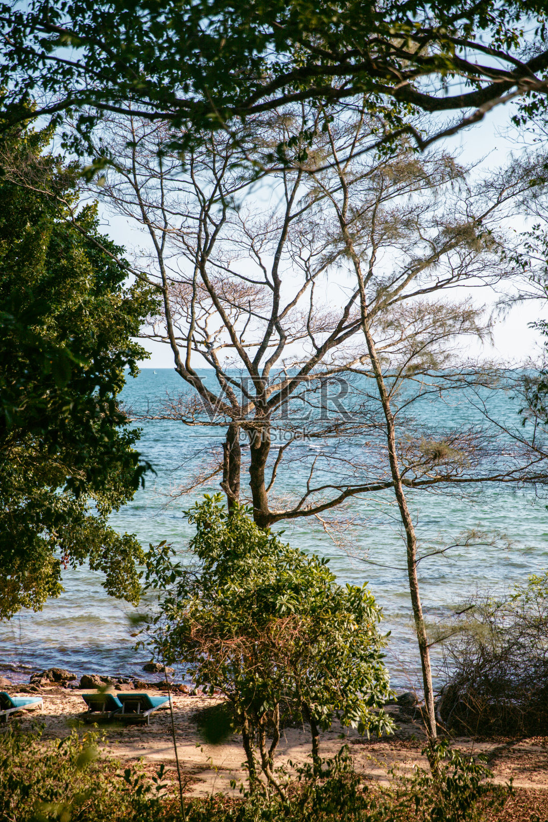 探索越南的丛林和海洋照片摄影图片