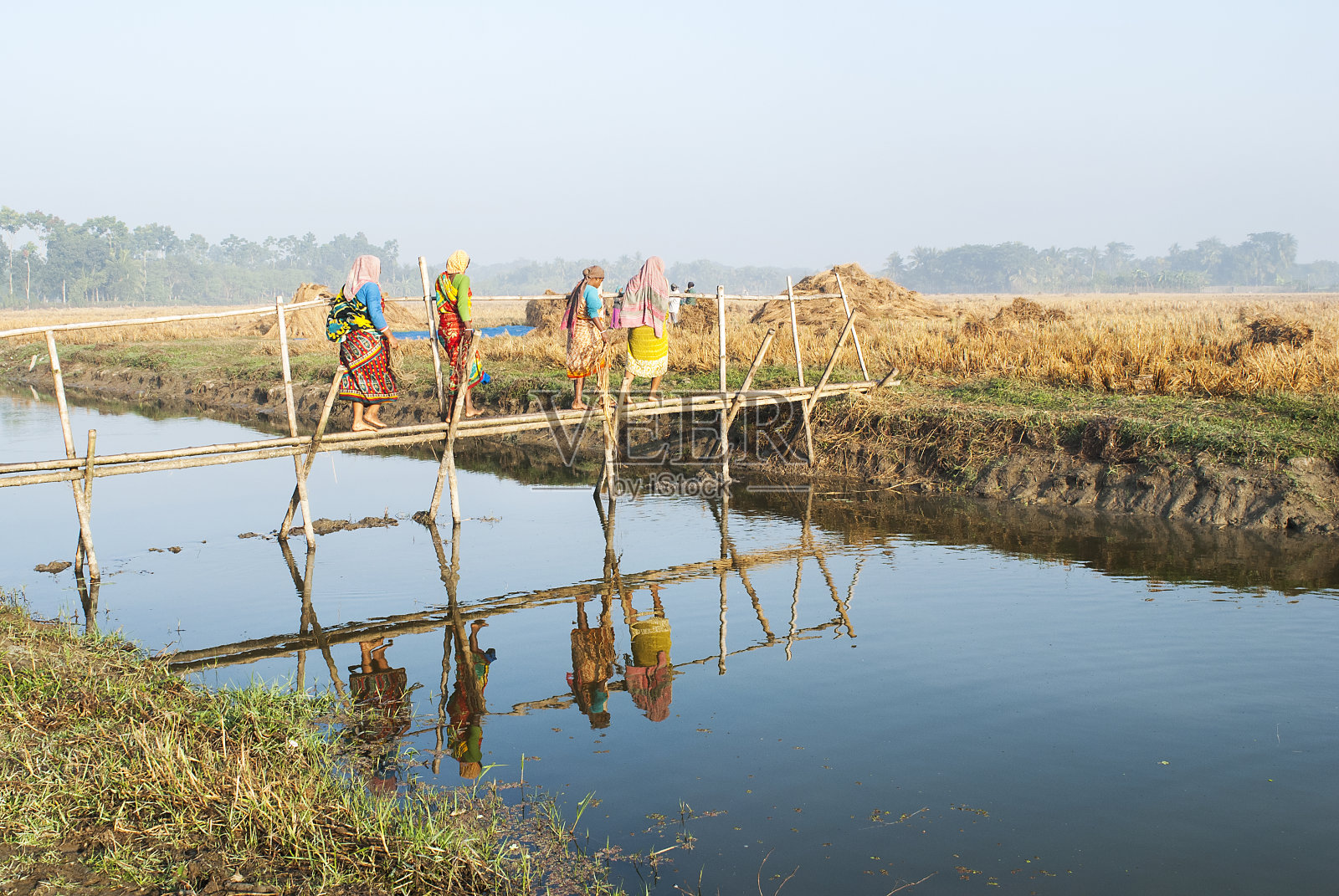 帕迪照片摄影图片