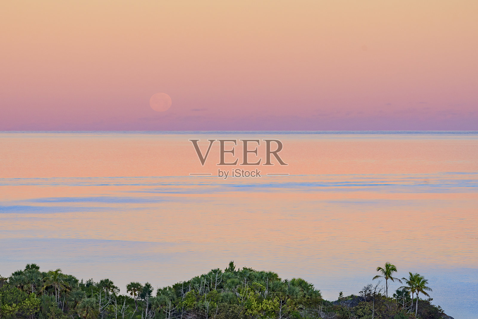 在百慕大桑迪教区的圆狼月照片摄影图片