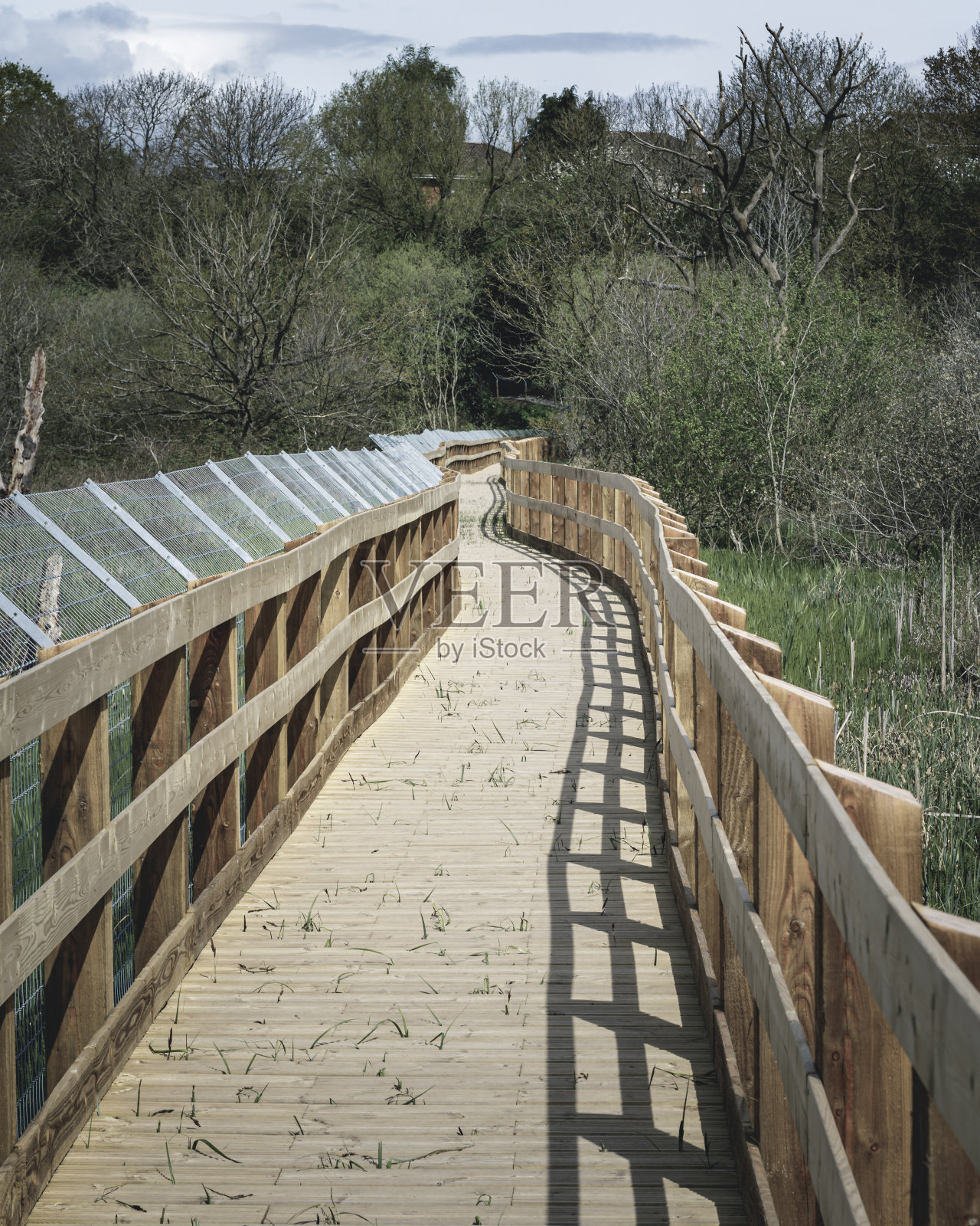 桥照片摄影图片