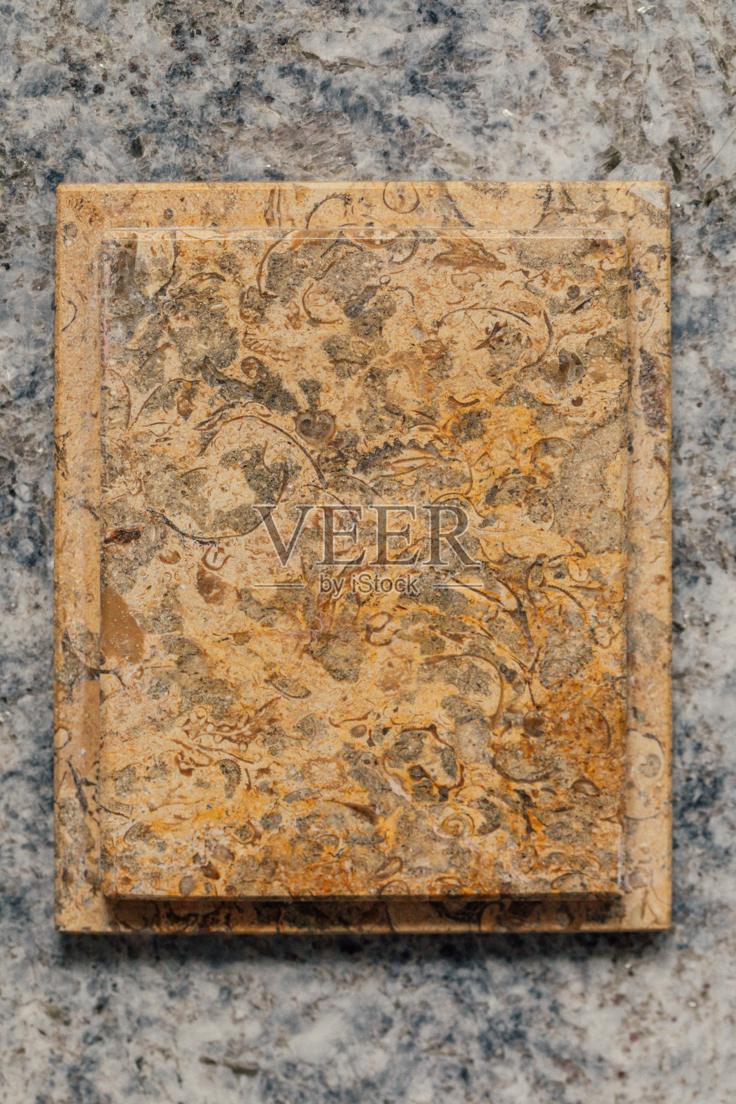 灰色花岗岩上的珊瑚石照片摄影图片