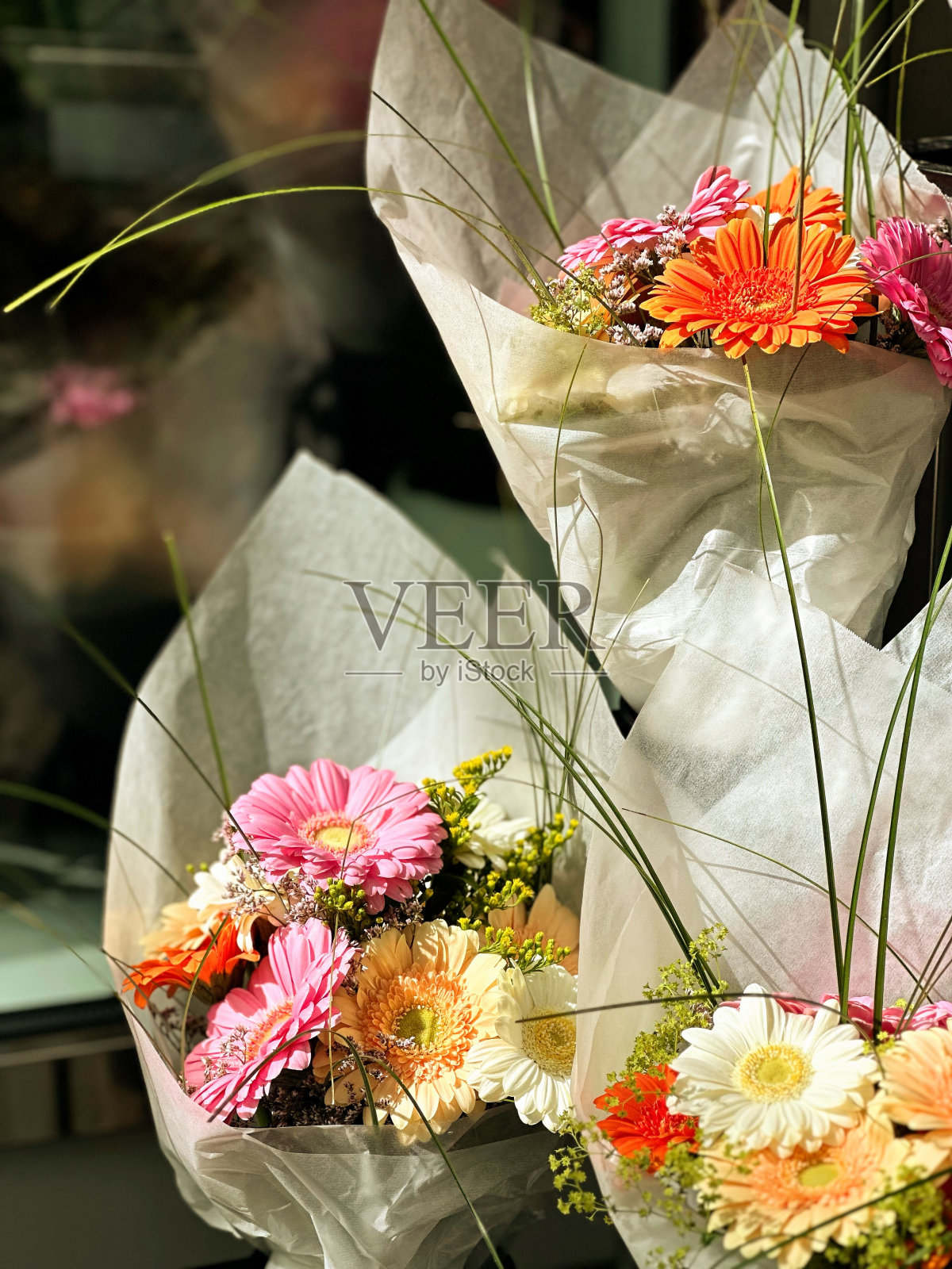 柏林，花束照片摄影图片