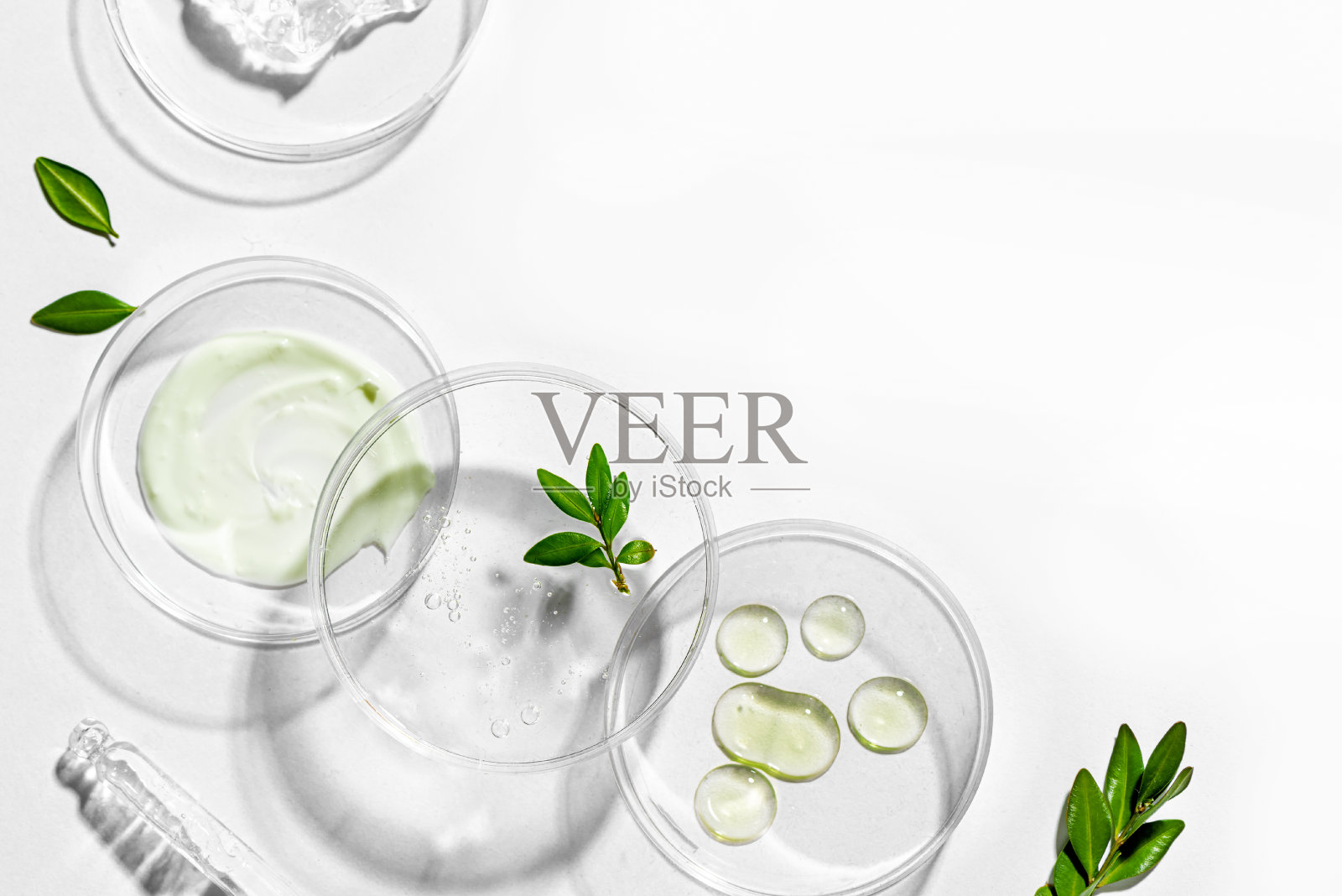 植物美容产品照片摄影图片