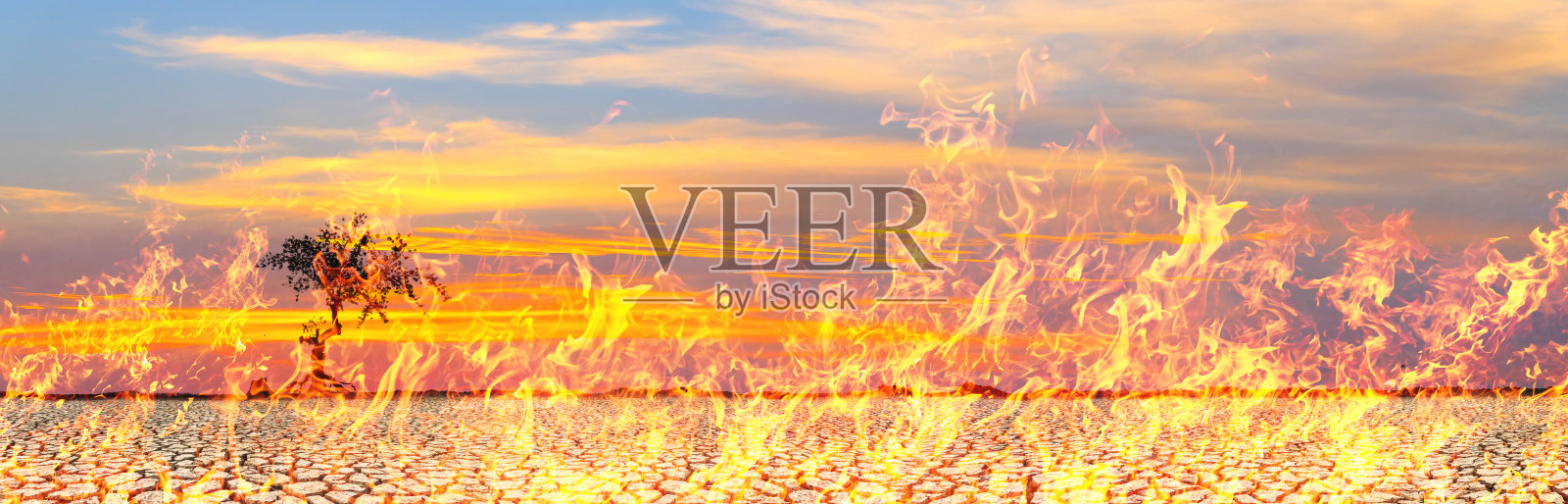 野火或森林大火燃烧时产生大量烟雾。代表炽热的火焰。自然保育理念。全球变暖危机。照片摄影图片