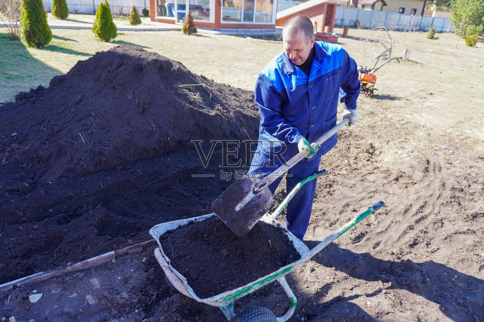 早春时节，一个男人在菜园里干活照片摄影图片