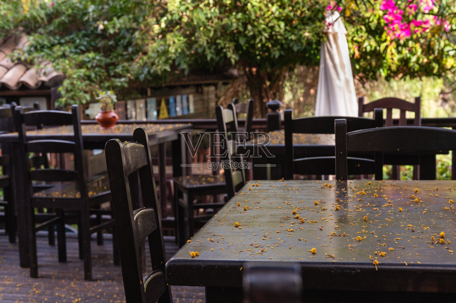 一个带有几张桌子和椅子的露台照片摄影图片