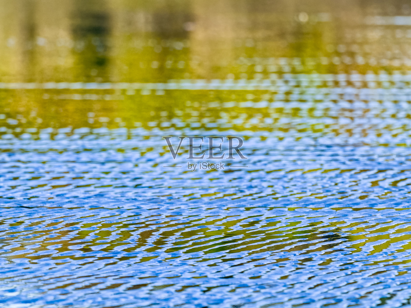 不列颠哥伦比亚省温哥华岛照片摄影图片