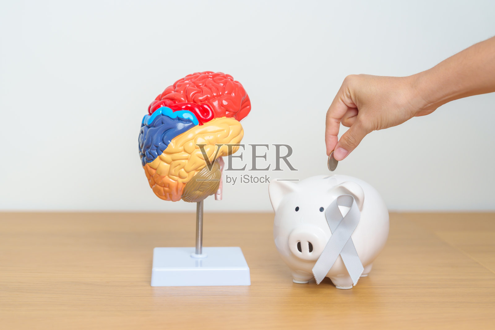 世界脑瘤日、脑中风、痴呆、阿尔茨海默病、帕金森和世界精神健康月。脑模型与猪存钱罐支持疾病生活。健康，捐赠，慈善，省钱照片摄影图片