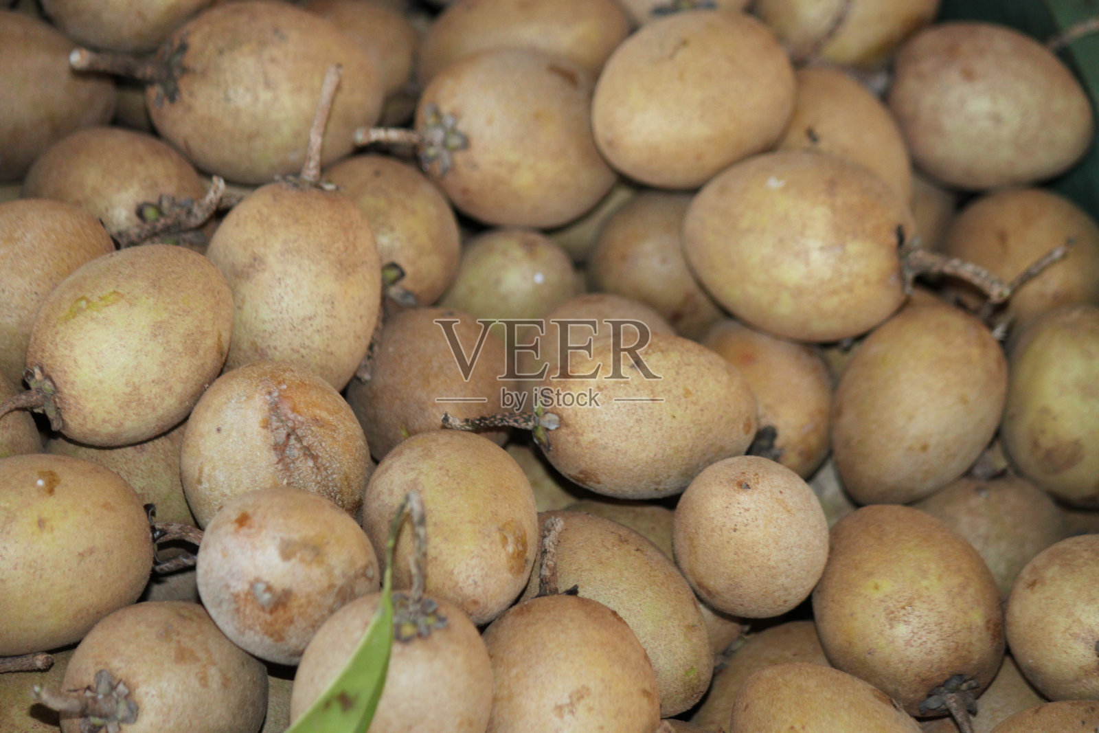 人心果水果照片摄影图片