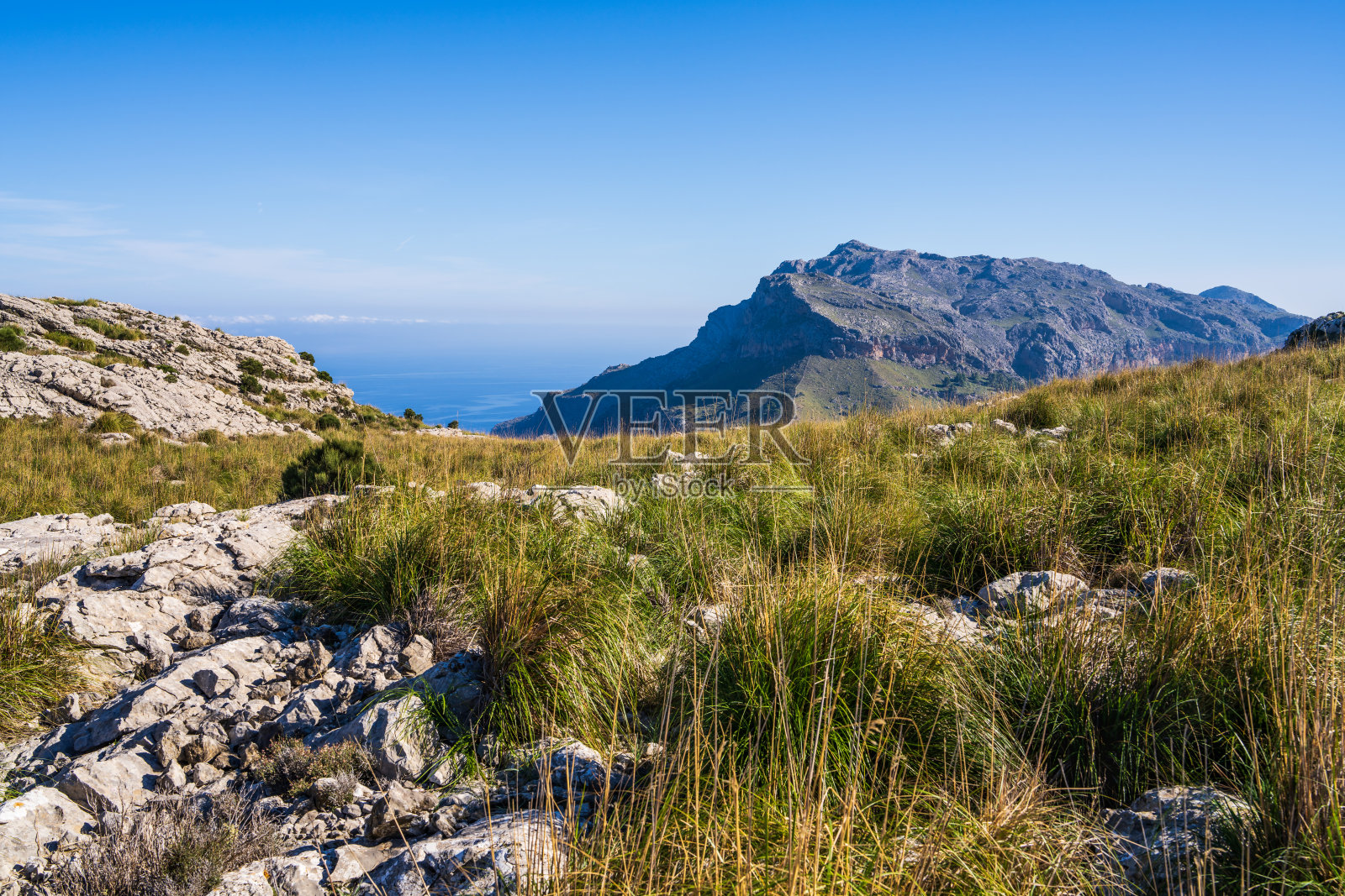 马略卡岛令人惊叹的风景。雄伟的山脉覆盖着绿色植物，阳光明媚的日子。地中海，马略卡岛，马略卡岛，巴利阿里群岛。照片摄影图片