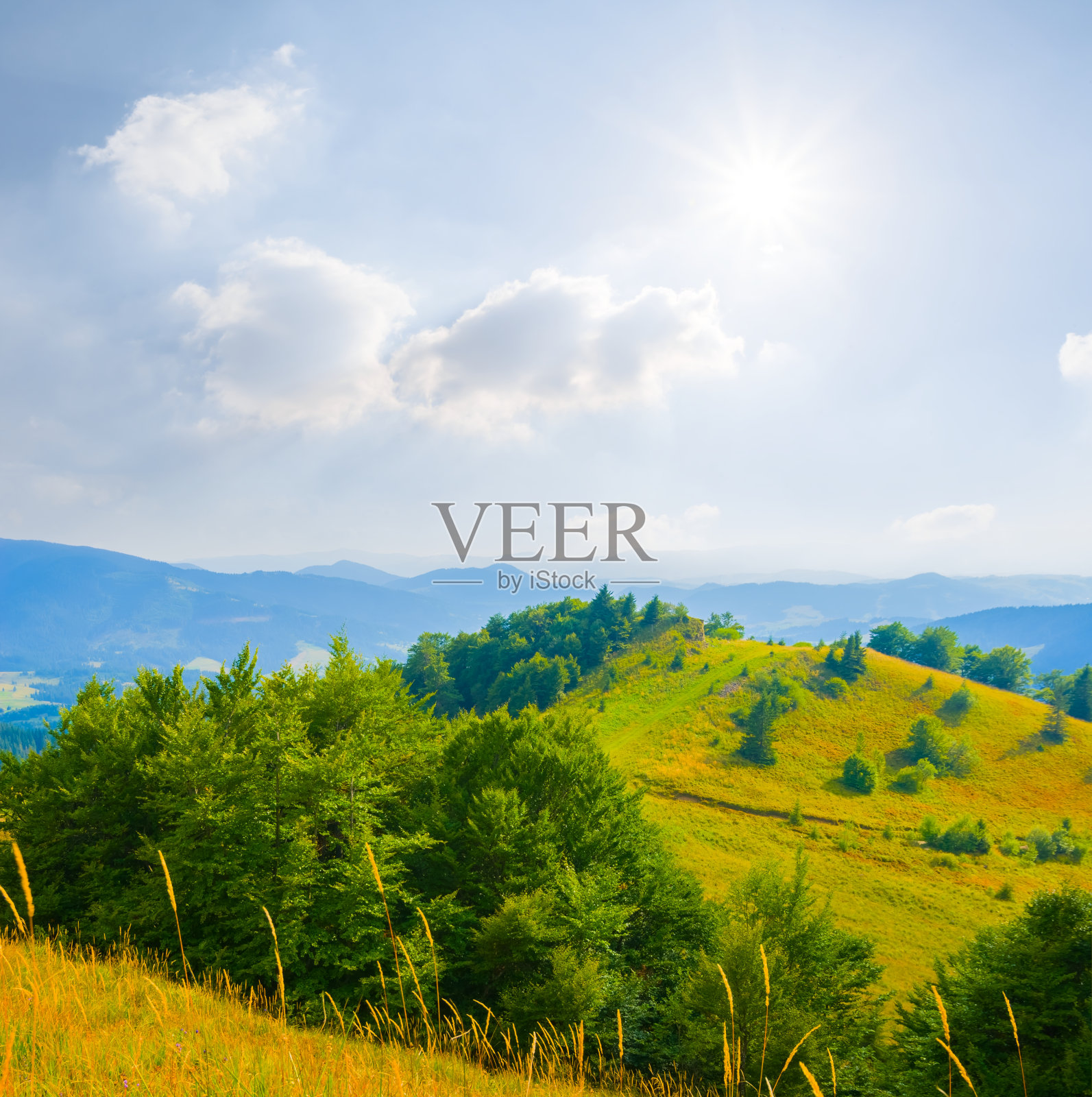 青山在夏日的艳阳天照片摄影图片