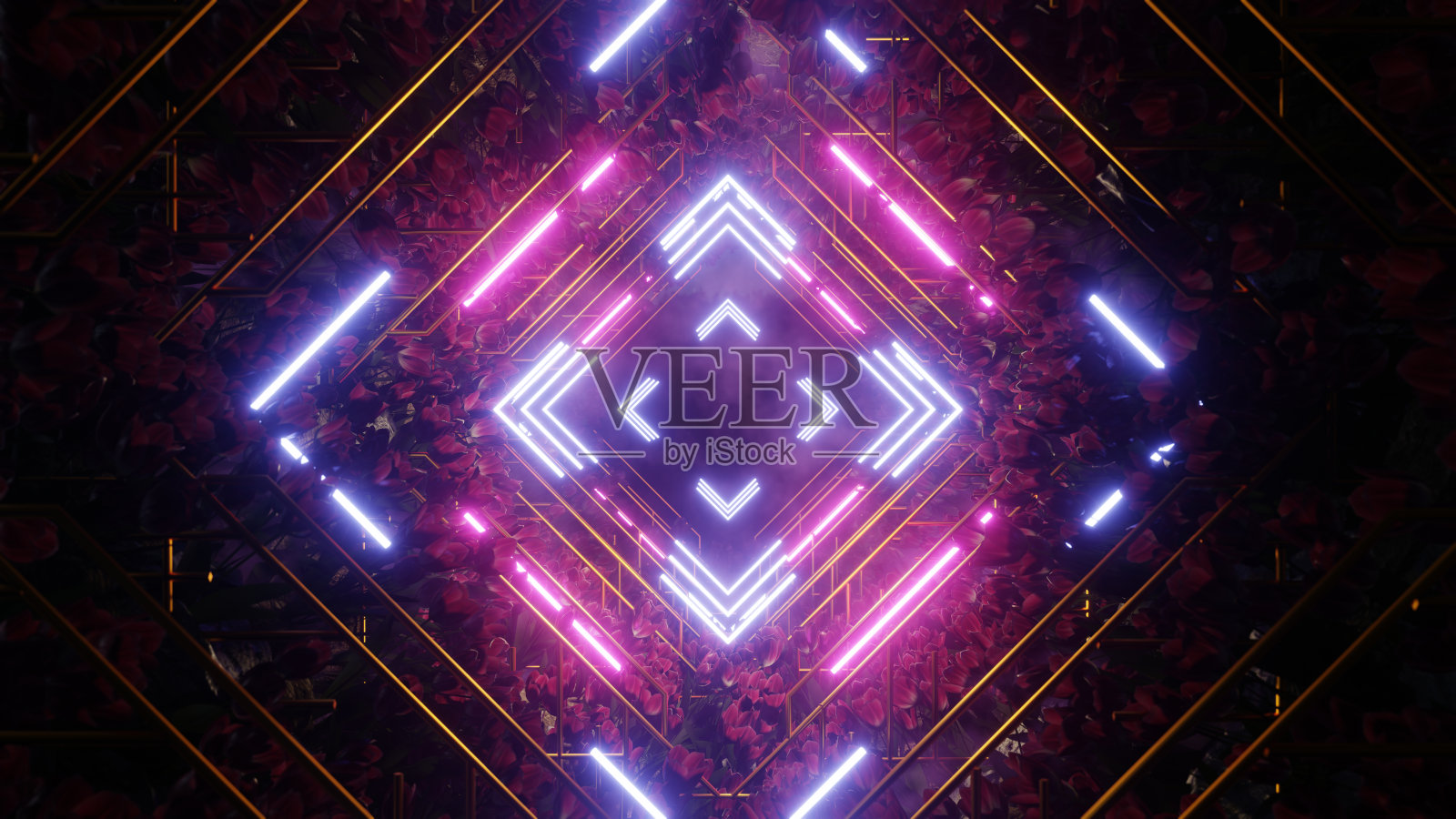 霓虹洞里的郁金香和装饰艺术照片摄影图片