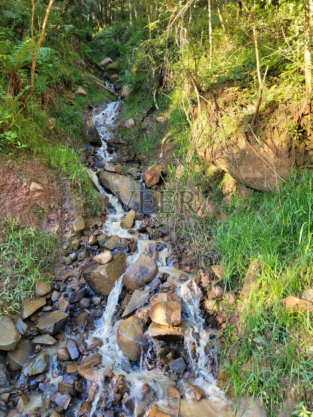 淡水照片摄影图片