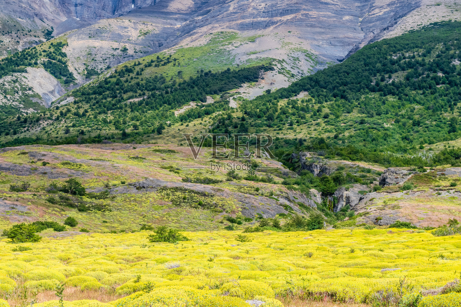 在托雷斯德尔潘恩徒步W-Trek照片摄影图片