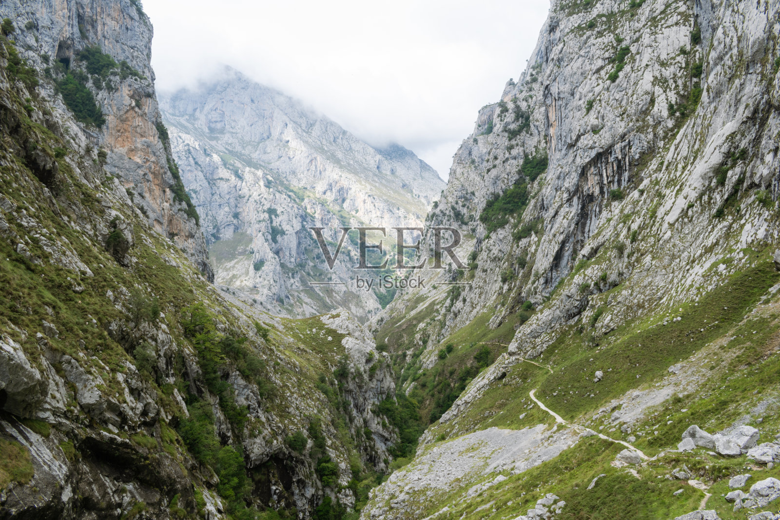 在Picos De Europa风景小径照片摄影图片