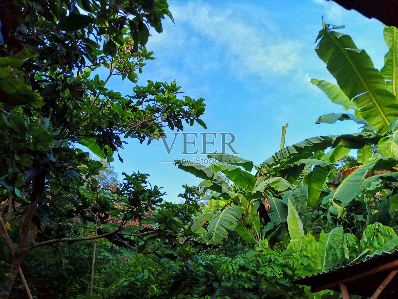 自然风光之美照片摄影图片