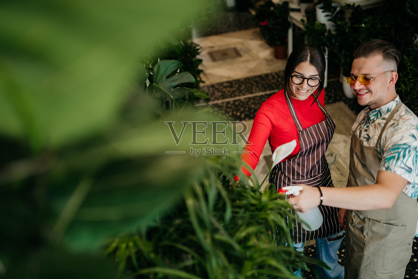 让我们给我们的植物喷一下照片摄影图片