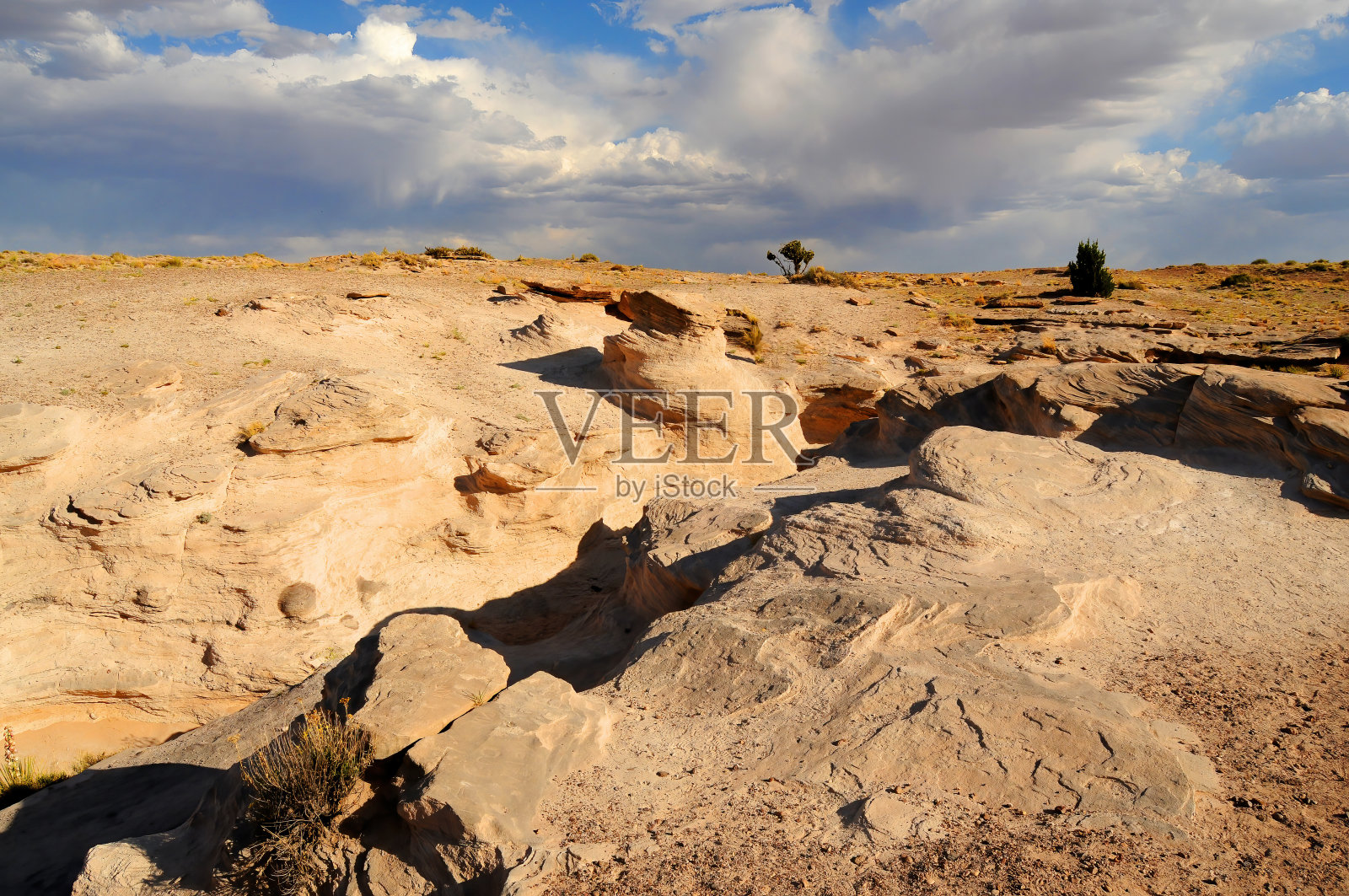 崎岖和荒凉的景观石化森林亚利桑那州照片摄影图片