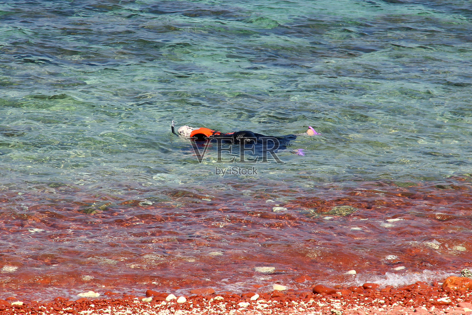 在也门索科特拉岛印度洋潜水照片摄影图片