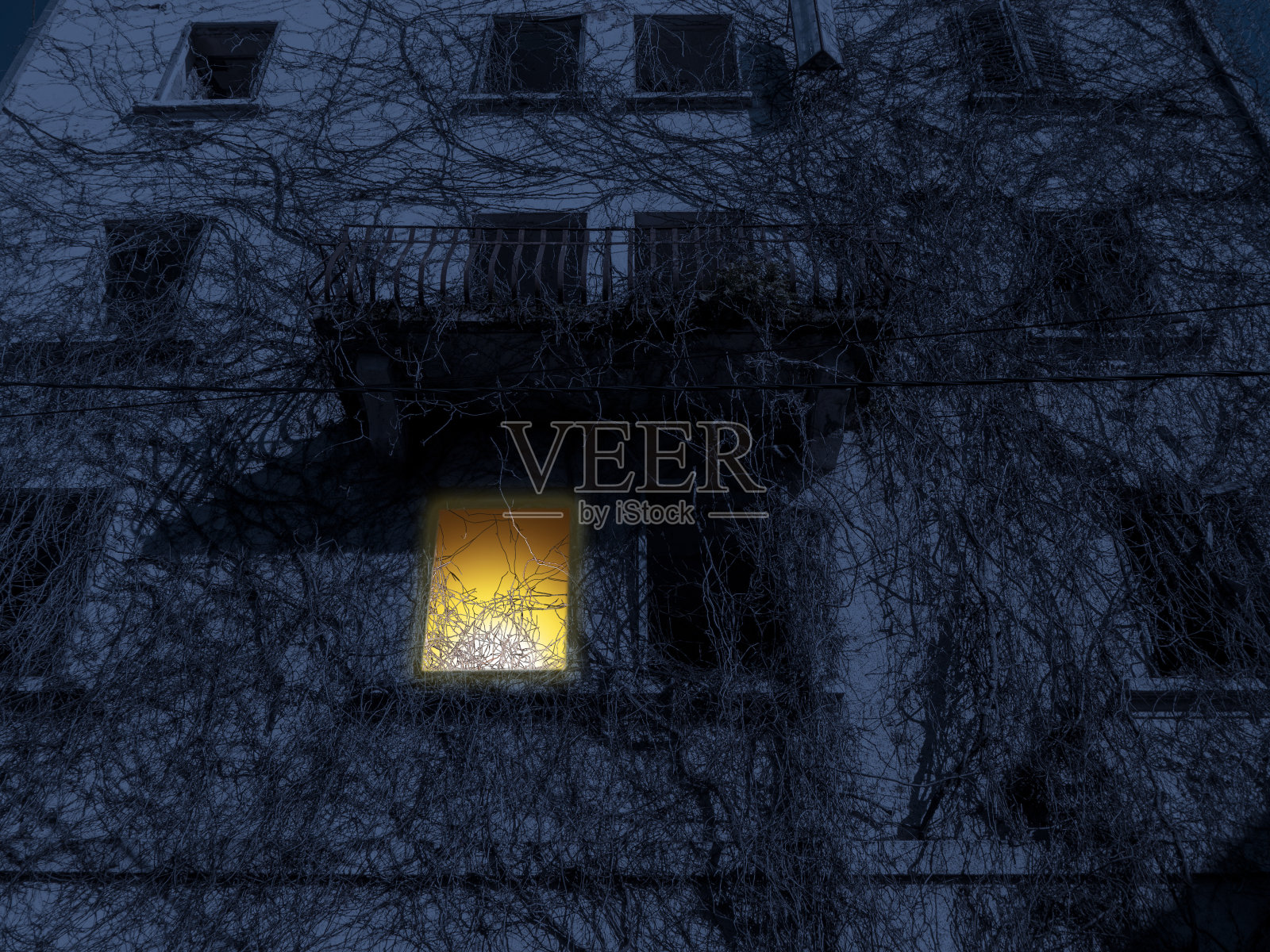 黑暗的废弃房子的窗户着火了，晚上有干燥的常春藤照片摄影图片