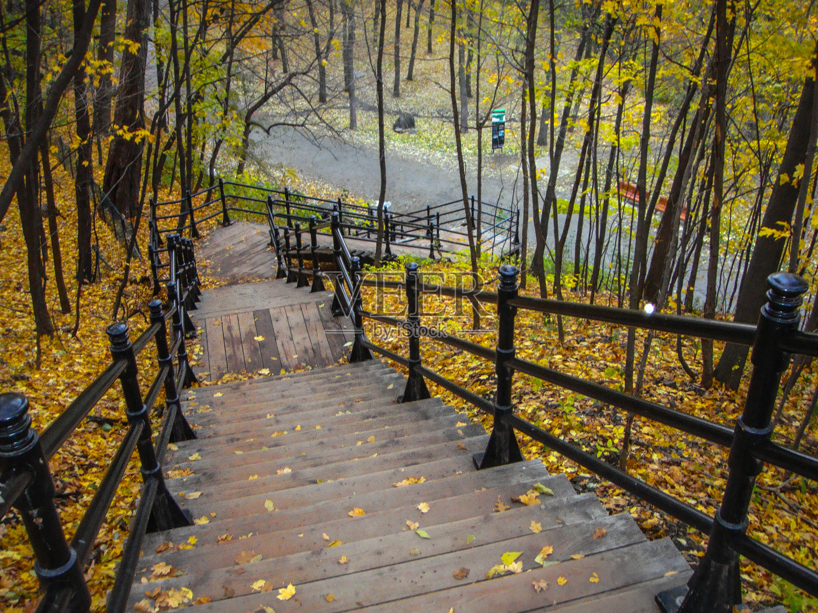 Rc - 01081照片摄影图片