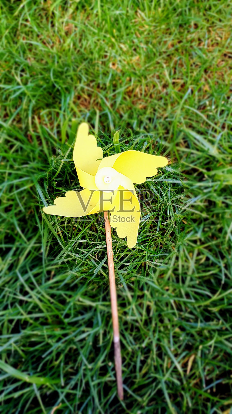 黄色风向标照片摄影图片