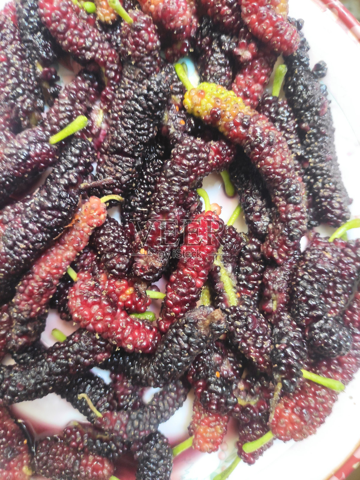 Mellbury照片摄影图片