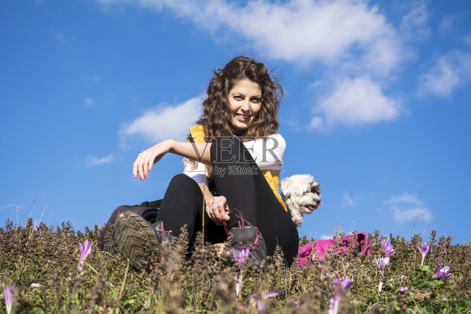 在春天的大自然中，一个女人和她的哈瓦那狗照片摄影图片