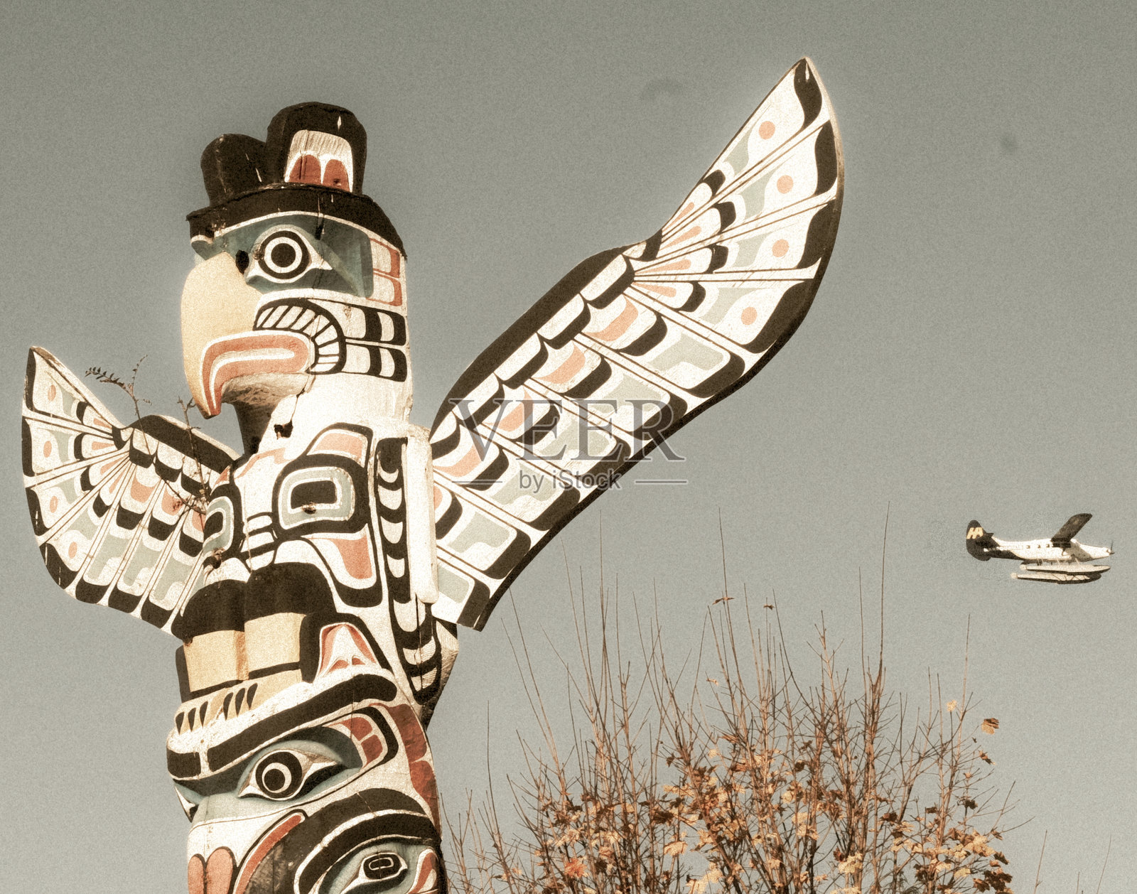 翅膀扩展照片摄影图片