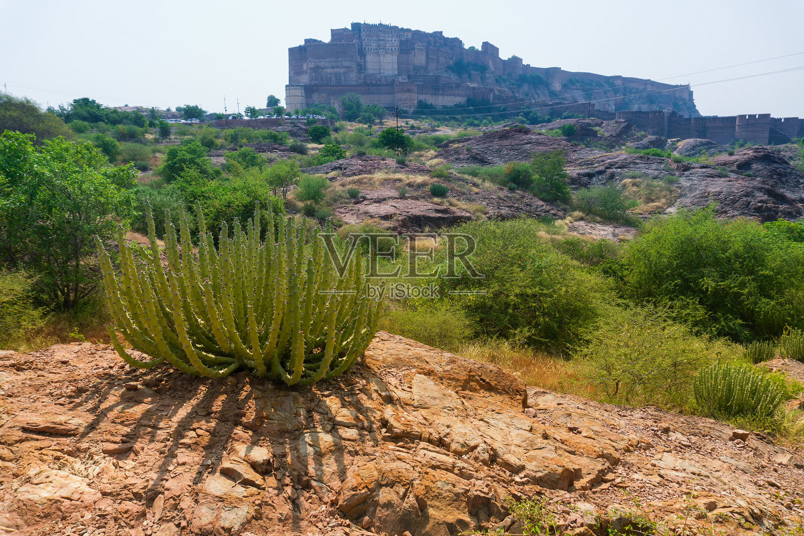 从印度焦特布尔的Rao Jodha沙漠岩石公园俯瞰Mehrangarh堡垒。前景是一棵孤零零的仙人掌，背景是Mehrangarh堡垒，还有沙漠公园的岩石景观。照片摄影图片