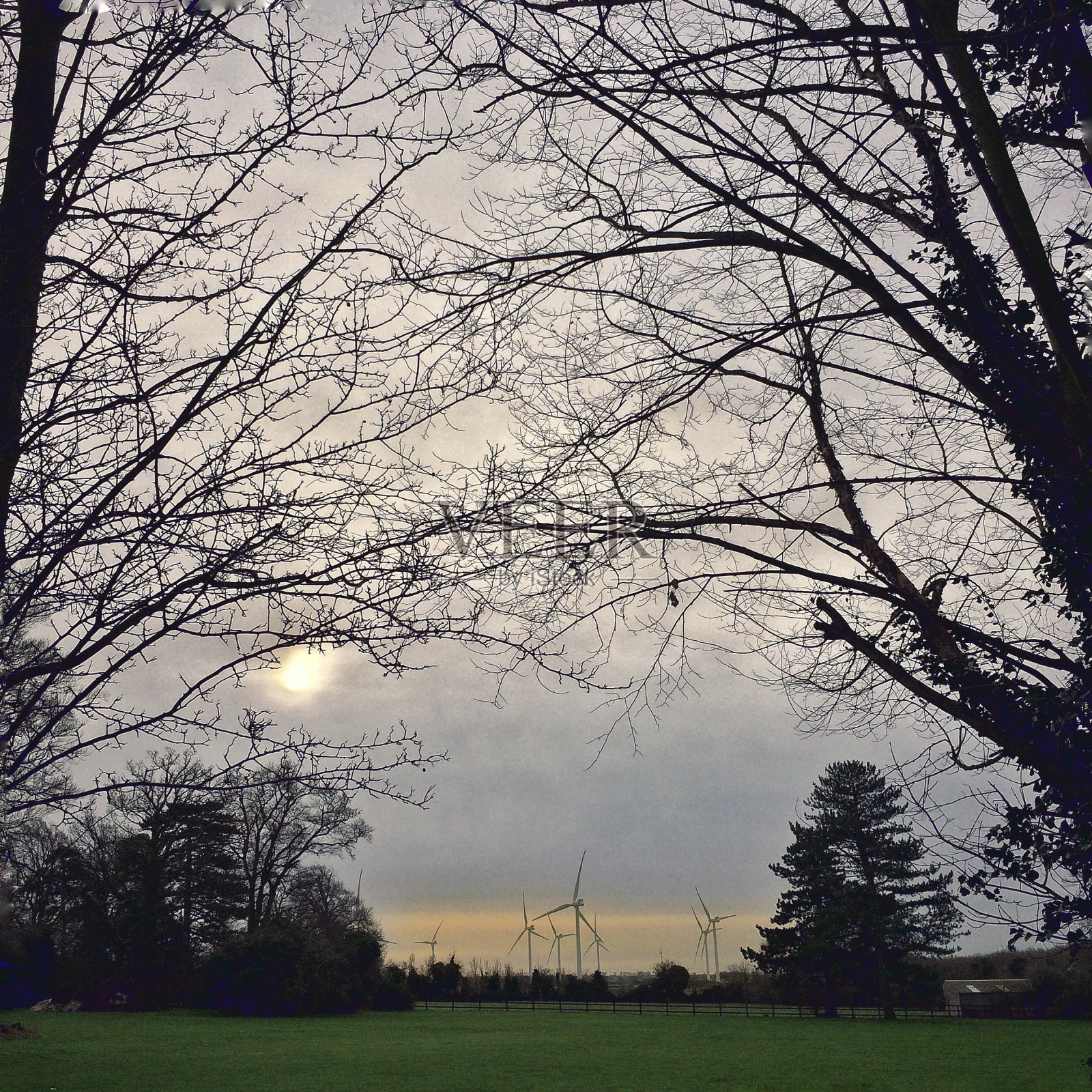 由树枝搭建的风力涡轮机照片摄影图片