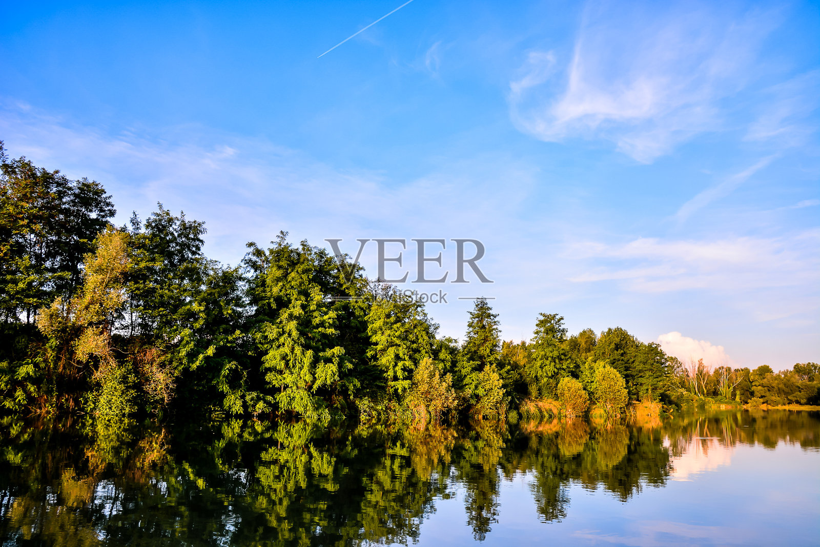 野生布伦塔河照片摄影图片