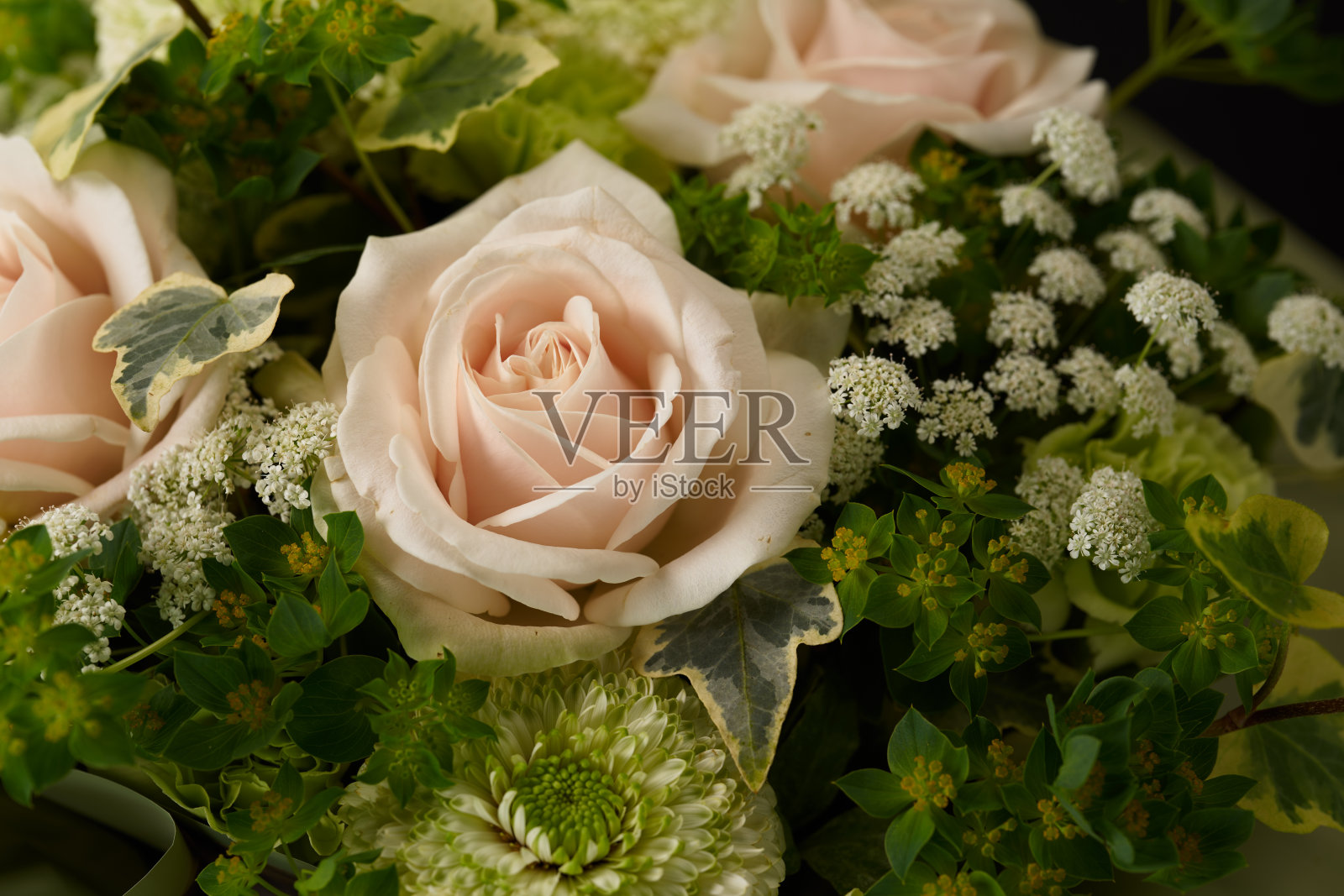 美丽的白玫瑰花束照片摄影图片