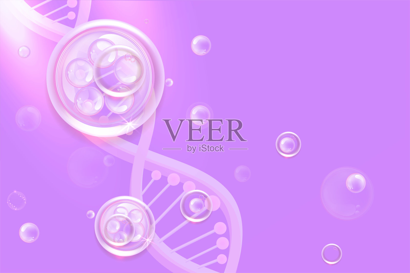 透明质酸和烟酰胺头发和皮肤的解决方案广告，紫色胶原蛋白血清滴与化妆品广告背景准备使用，插图矢量。插画图片素材