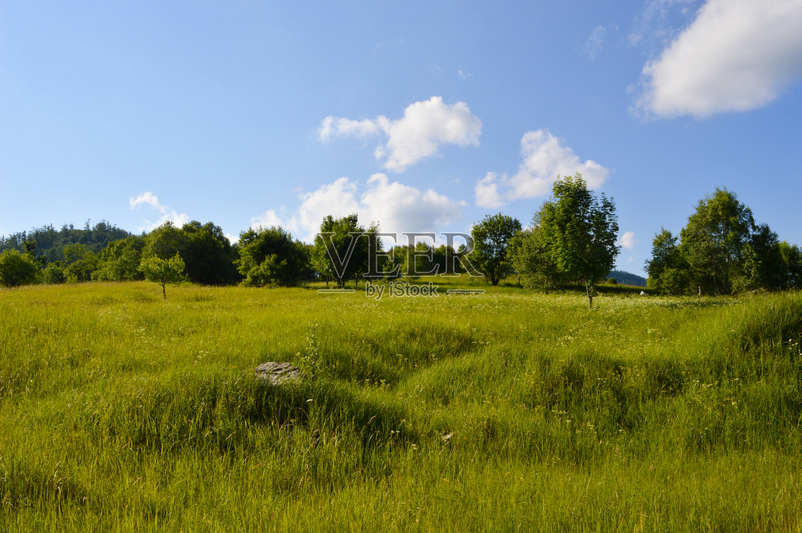 农村景观照片摄影图片