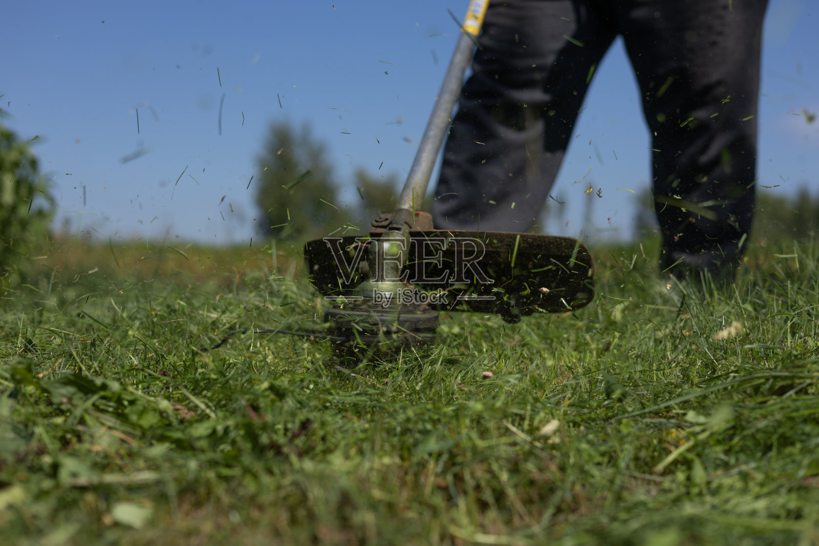 割草机旋转着割草，割下来的草茎飞向四面八方。用修剪机修剪草坪的过程。小块割过的草洒到了修剪机的边上。照片摄影图片