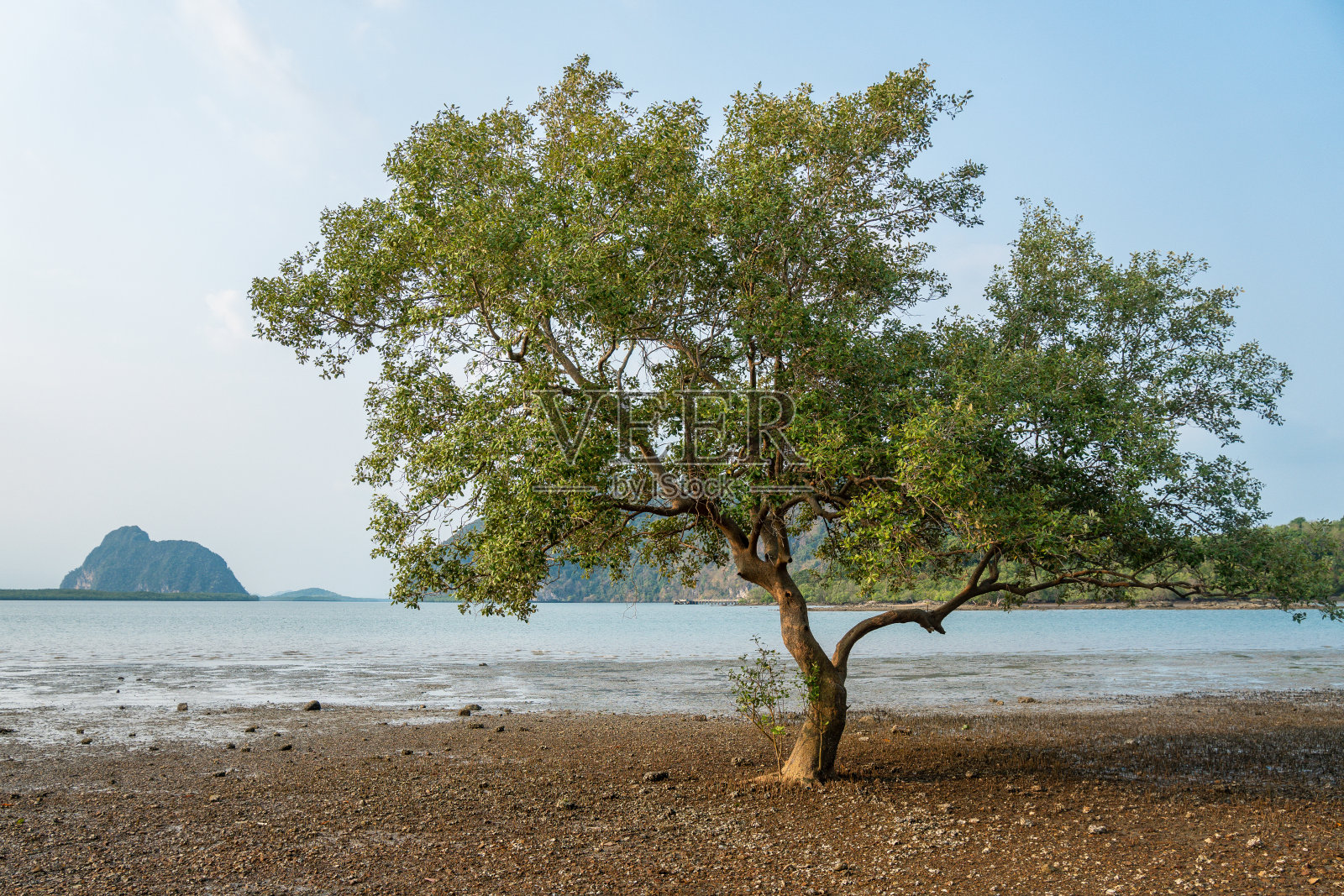 泰国兰大岛，热带岛屿度假照片摄影图片