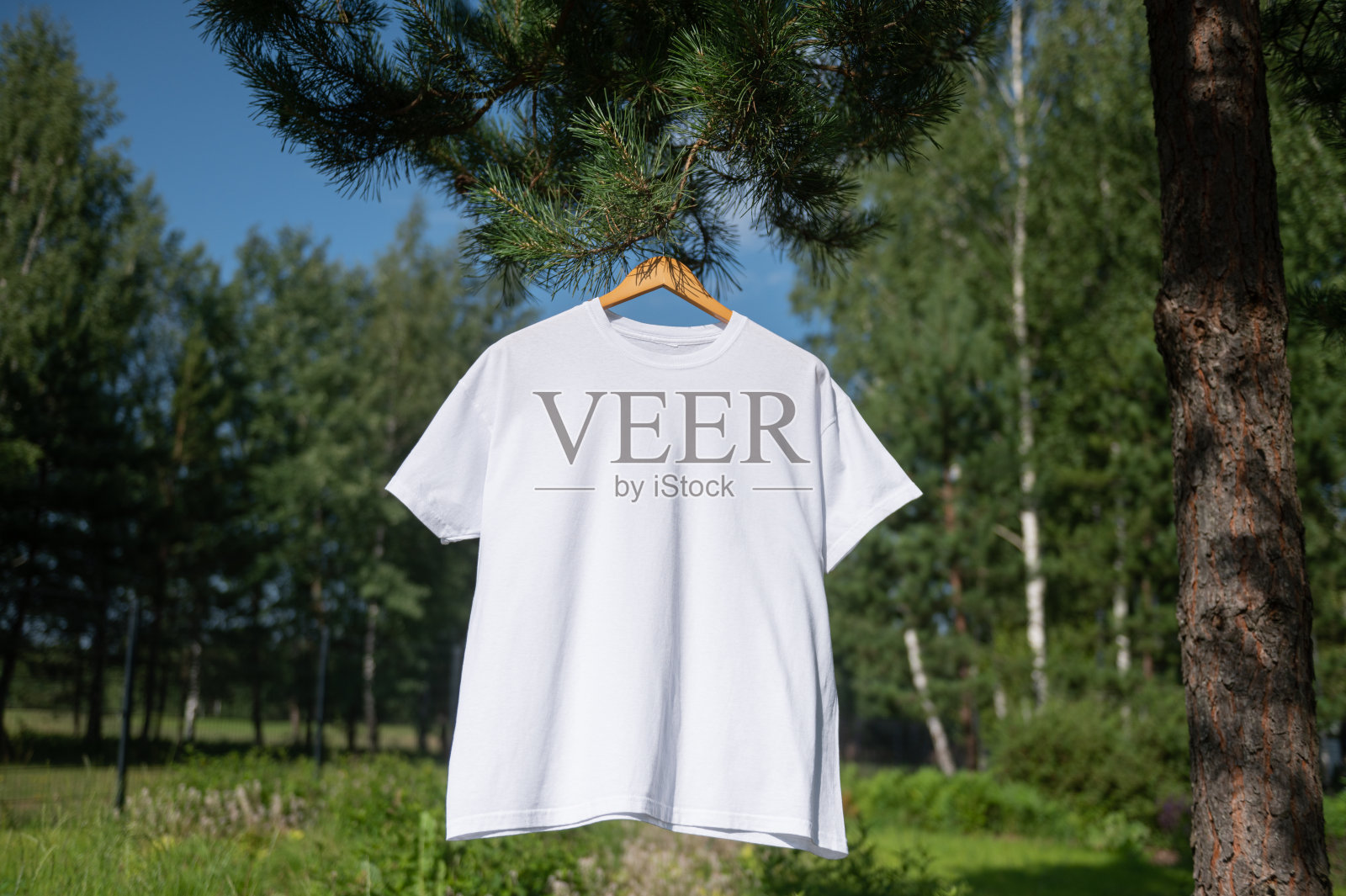 白色t恤挂在衣架上，布局照片摄影图片